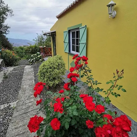 Irana Del Bosque